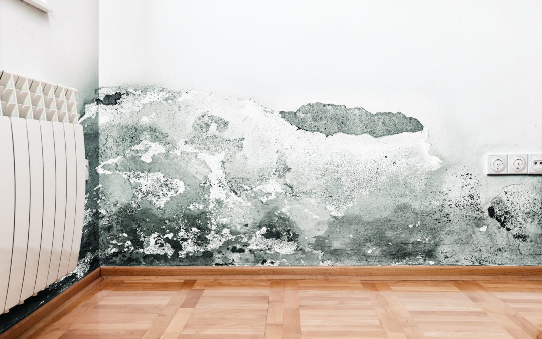 Is Too Much Humidity in Your Home Bad for Your Health?
