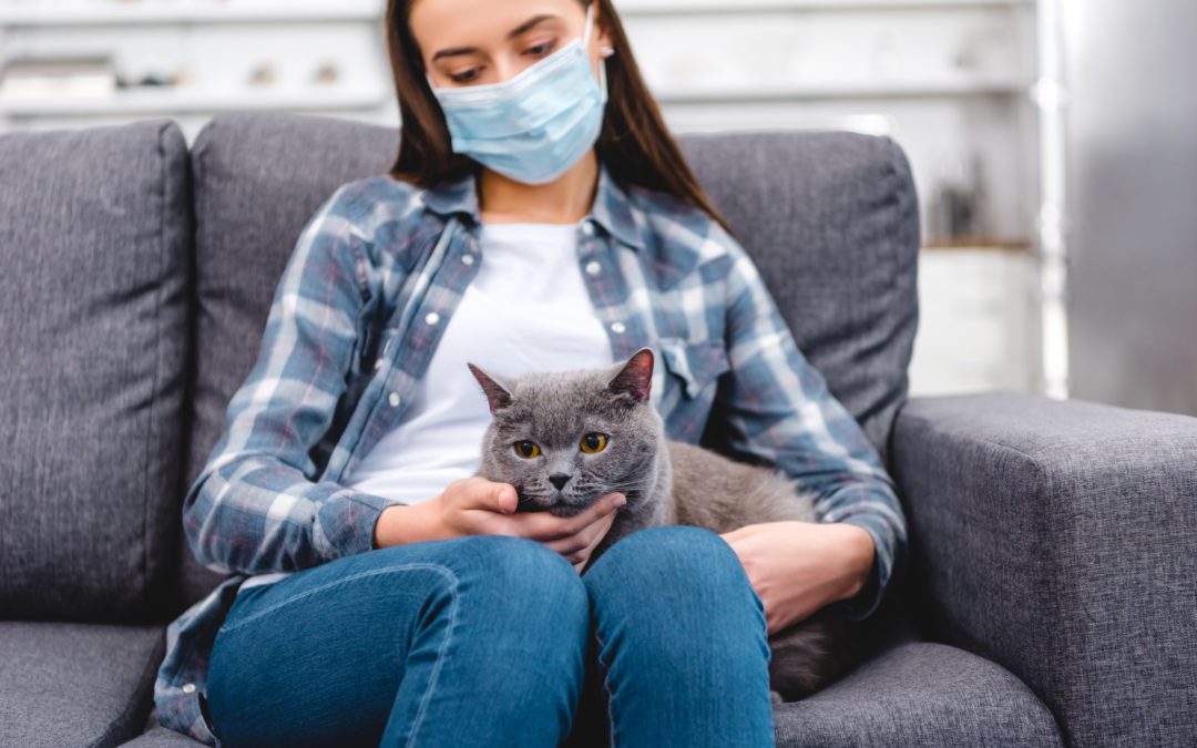 How to Prevent Indoor Air Pollution?